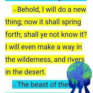 Meet your Posher, Monique